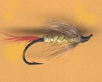 Gray Hackle