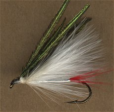 Humpy Fly, Female (Nelson)