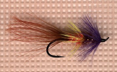 Juner Shrimp (Downey)