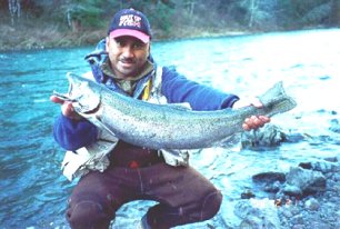 Ed Layaoen of Lacey, Washington shows off a nice hatchery steelhead he hooked on the Kalama River.