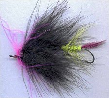 A Clark Lucas tied Chinook Tandem