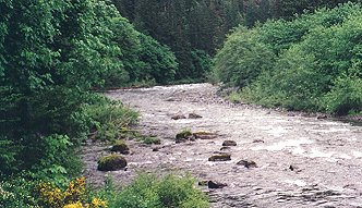 Olympic Penninsula River