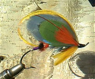 Quinchat, Dressed by Darrell Philbrook