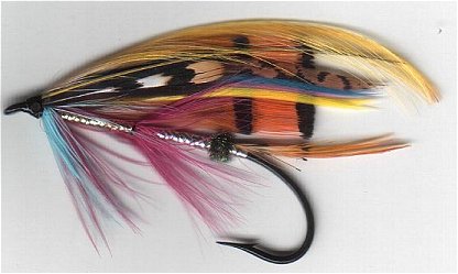 Rosy Dawn, Tied by Dave Potts