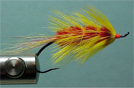 Sauk River Shrimp/Grub, A Scott Howell Fly