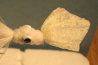 Sea Arrow Squid (Blanton & Edgley)