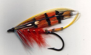 Stevenson, Tied by Dave Potts