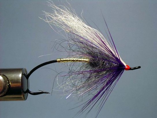 Freelance, Tied By Scott Howell