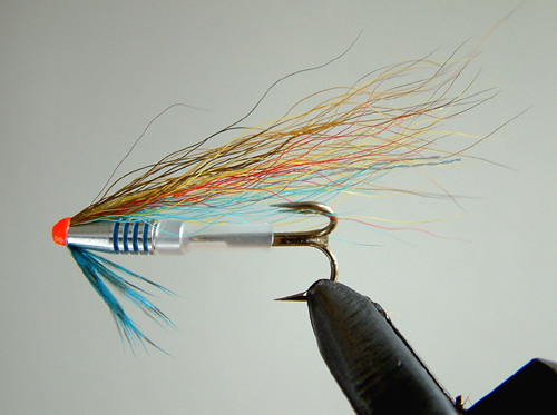 Bright Doctor LR, A Yuri Shumakov Fly