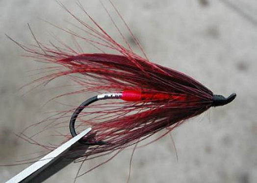 Claret Mallard Spey