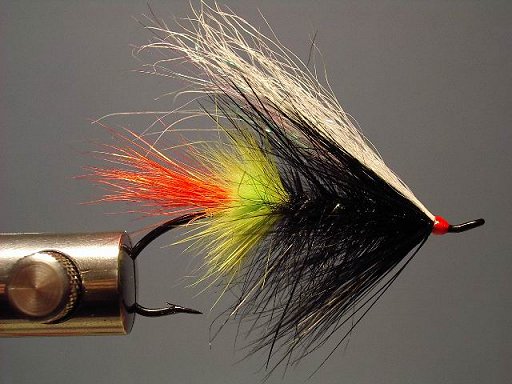 GBS (variant) NW Toppy, A Scott Howell Fly