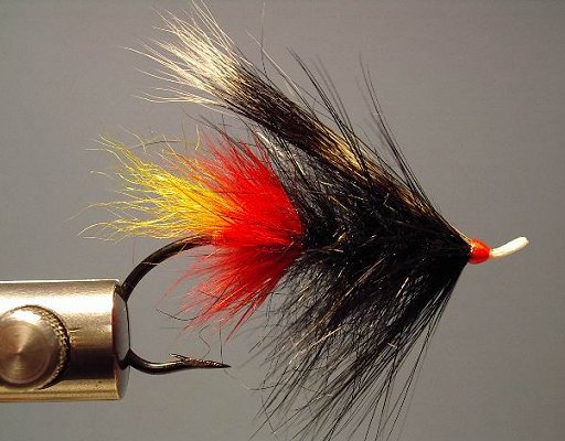 NW Toppy, A Scott Howell Fly