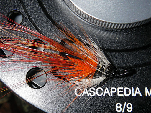 The Orange & Gold Shrimp