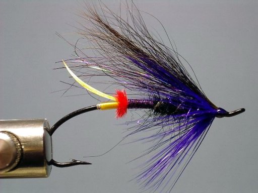 Purple Preacher, Tied By Scott Howell