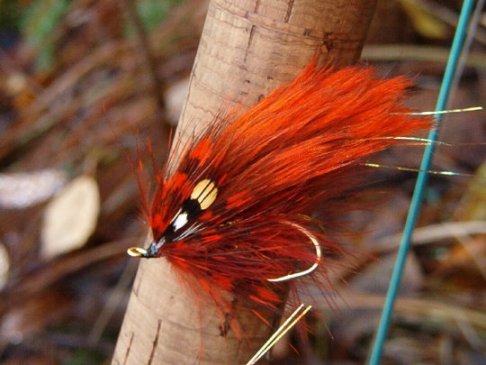 The Humus, Fat Edition, Tied By Tobbe Hedin