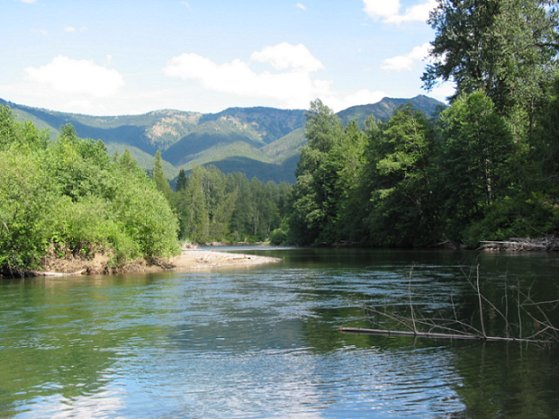  The Skagit River near Ross Lake, B.C., Canada on a beautiful mid-summer day.