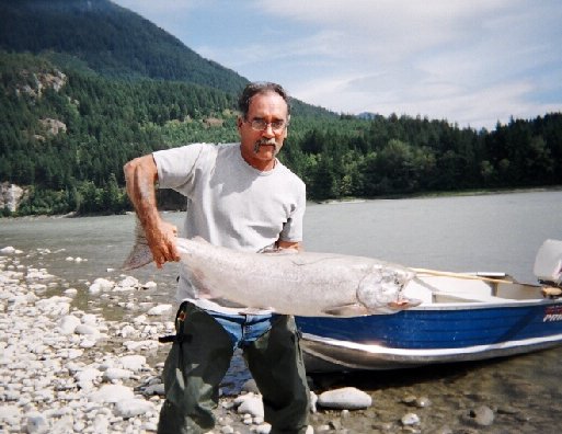 Bob St.Germaine of Vancouver, B.C., Canada struggles to hold a huge Spring salmon he caught on the Fraser River just east of Hope, B.C., last year.