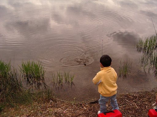 Liam Burke reeling in his first ever trout on Goose Pond, Lacey, Washington. The fly rod comes next!