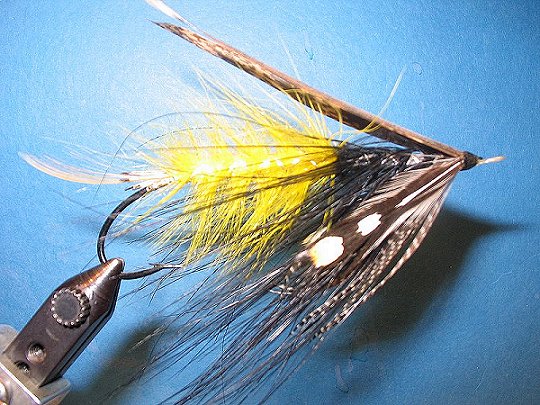 Ackroyd, Tied by Cliff Carstens