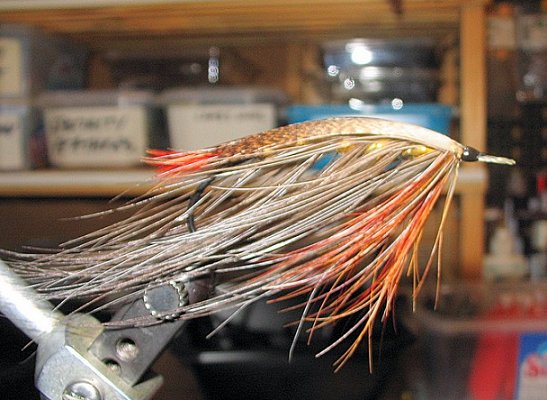 Lady Caroline, Tied by Cliff Carstens