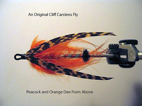 Peacock and Orange Dee from Above
