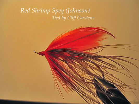 Red Shrimp Spey