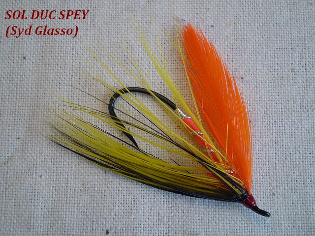 Sol Duc Spey