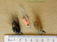 Crazy Charlie Variants