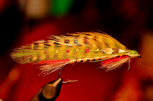 Lew Oatman�s Brook Trout Minnow