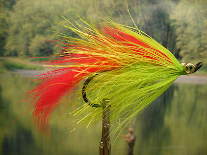 Bunny Winged Salmon Leech, Chartreuse/Red