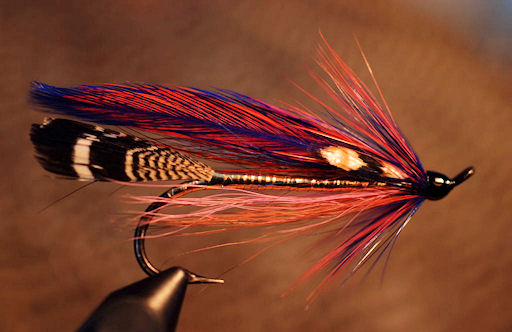 Cains River Maramichi