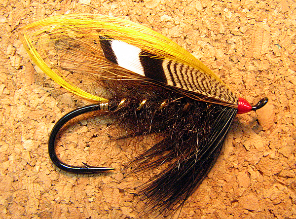 Darbee&rsquo;s Spate Fly