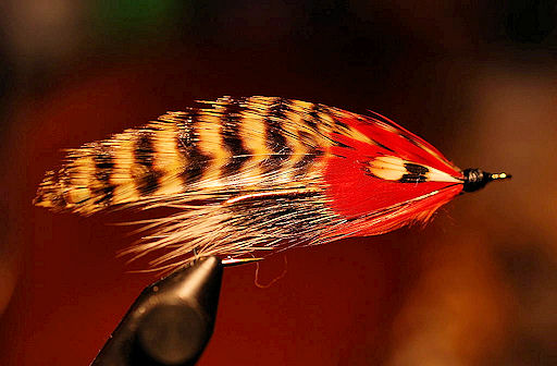 Dazzler  (A Stevens Pattern)