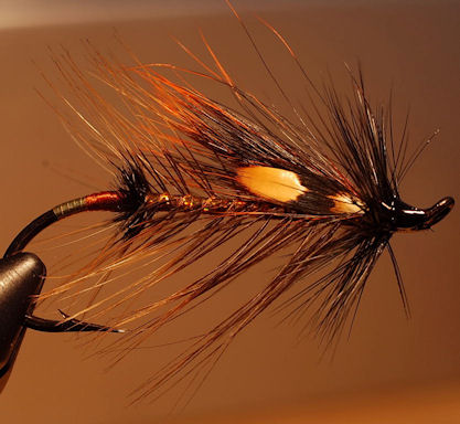 Hewitt Creek Hologram