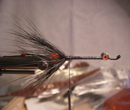 Tie in the rear hackle