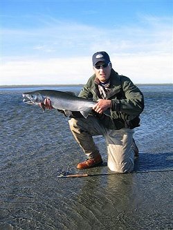 Jeffrey Wimer displays a beautiful Silver he caught off of the beach on the mouth of the Italio, Alaska. This one was taken on a black marabou pattern with just a bit of green flash and a Claret Schlappen hackle. 