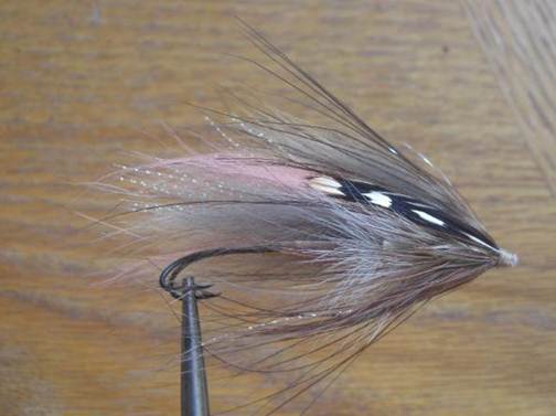 RUSSIAN BULLETT - COYOTE