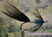Black and Blue Marabou, Variant