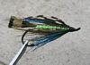 Chartreuse Peacock Spey