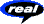 Download RealPlayer Software