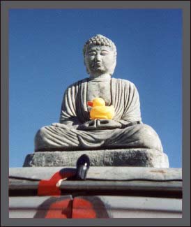 Buddha with a Duck.