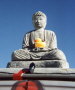 Buddha with a Duck.