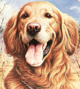 thumbnail of picture 2