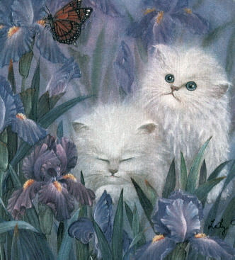 thumbnail of picture 7