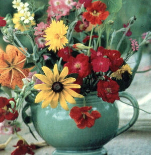 thumbnail of picture 6