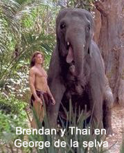 Brendan y Thai en George de la selva