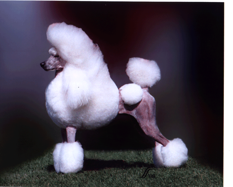 images/HPSavoid.gif - 215,000