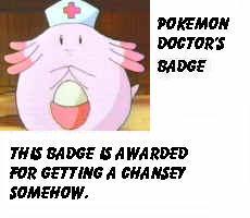 The Pokemon Doctor's Badge, for working at the pokemon center!