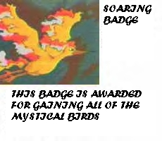 The 
Soaring Badge, for catching all the mystical birds!