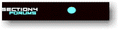 Section4.gif (4011 bytes)